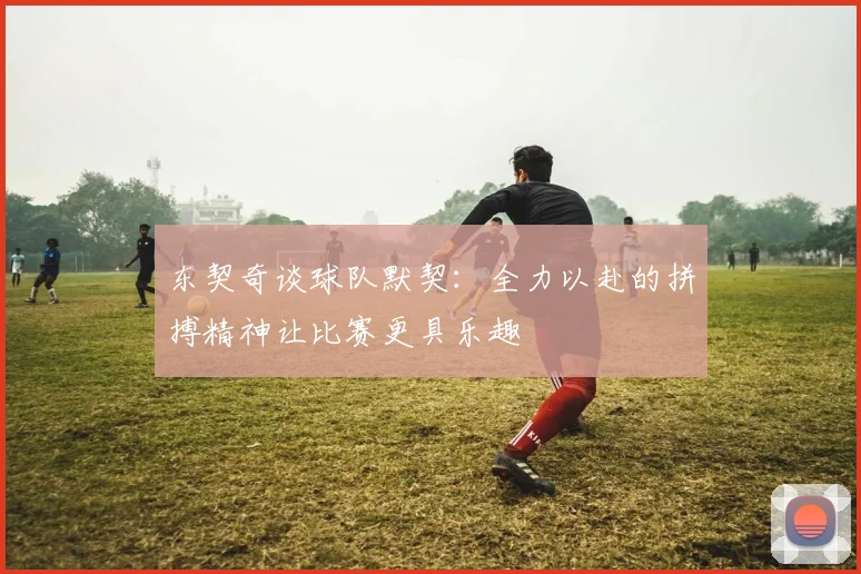 东契奇谈球队默契：全力以赴的拼搏精神让比赛更具乐趣