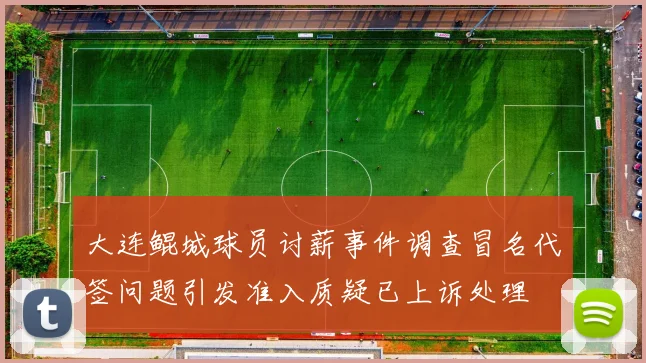 大连鲲城球员讨薪事件调查冒名代签问题引发准入质疑已上诉处理
